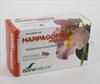 HARPAGOFITO SORICAPSULE N24-S 60 CAPS (voedingssupplement)